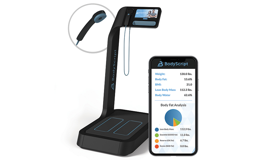 Technology Body Scrip MYE column